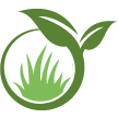 Sequim Lawn Clean Up