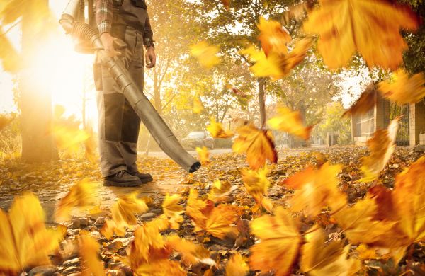 Cost of Leaf Blowing Service in Sequim