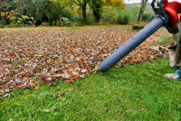 Cost of Leaf Vacuuming Service in Sequim