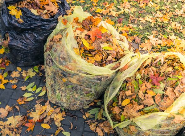 Cost of Yard Cleanup Service in Sequim