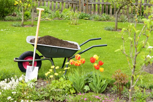 Cost of Spring Yard Cleanup in Sequim