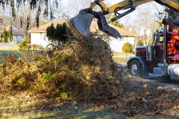 Cost of Storm Debris Removal in Sequim