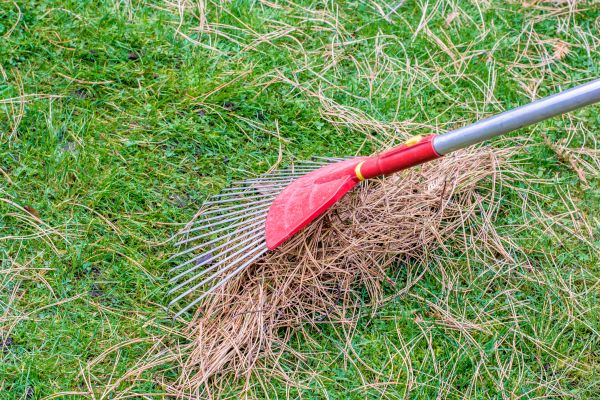 Cost of Yard Raking in Sequim