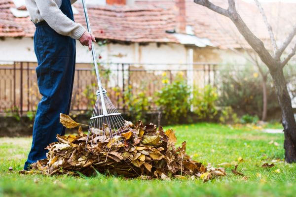 Cost of Spring Lawn Cleanup in Sequim