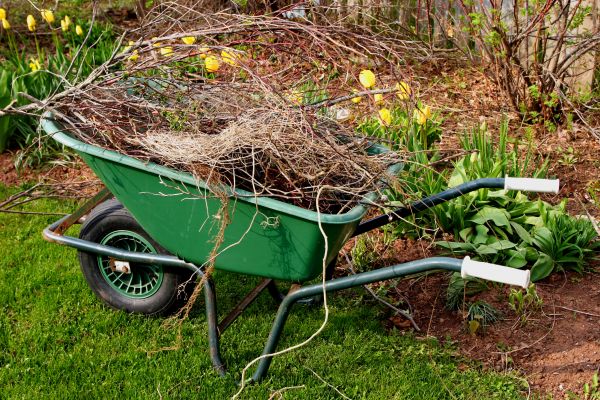 Cost of Lawn Waste Removal in Sequim