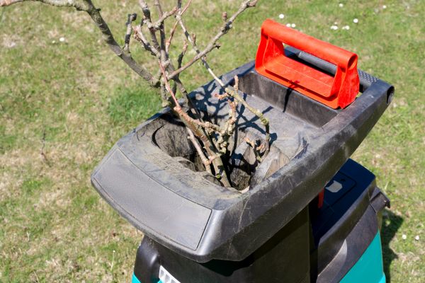 Cost of Brush Cleanup Service in Sequim