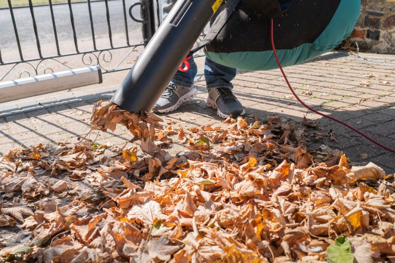 Leaf Blowing and Raking Tools