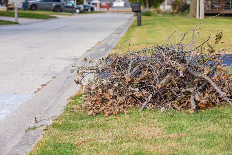 Lawn debris removal process